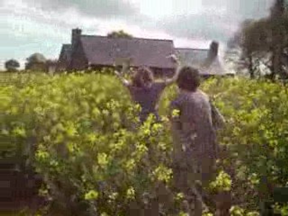 Courage(s) dans les chaaaammps !!!