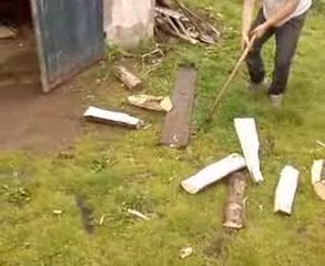 Les Buch: Découvrez leur univers