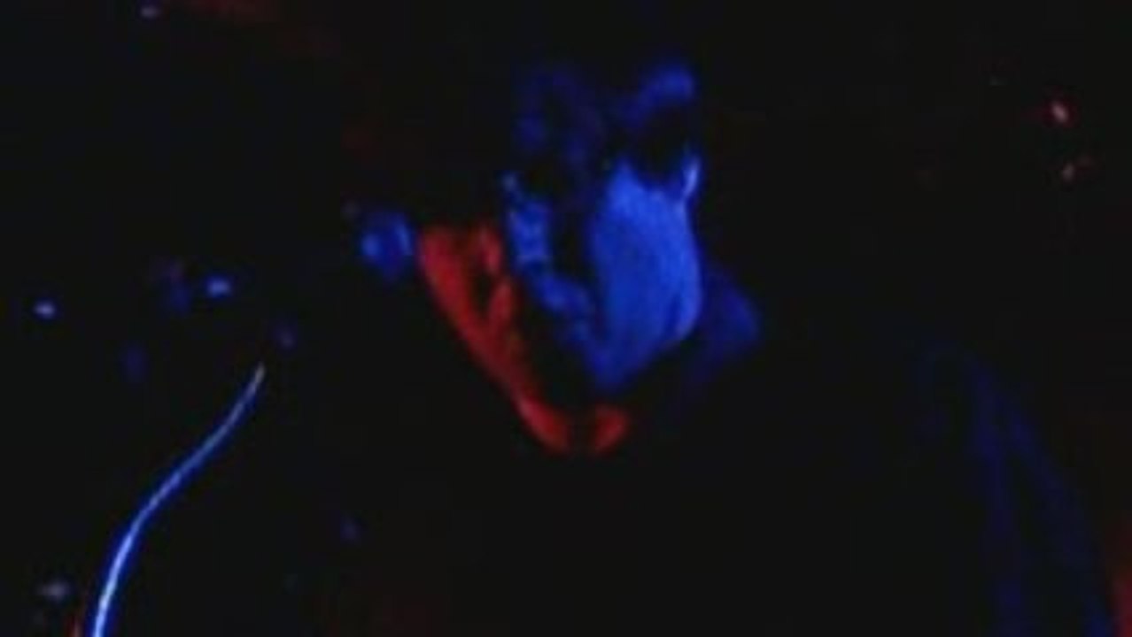 Corleone - 2009-05-07 - Bordeaux (L'Heretic)