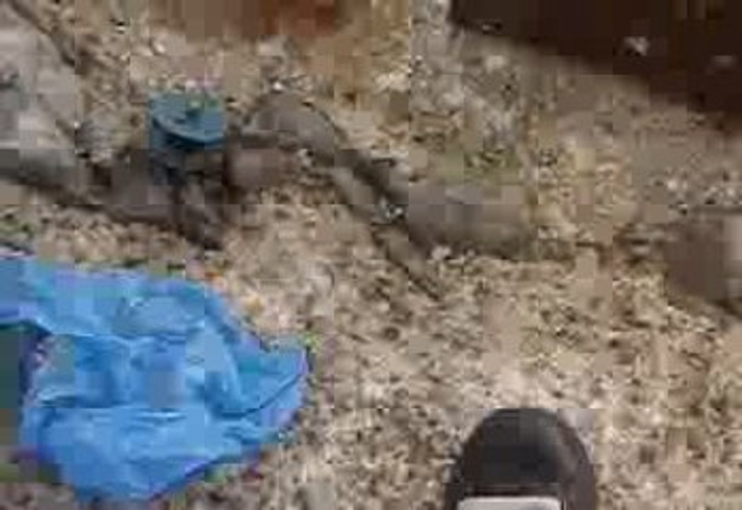 canne a peche qui tue