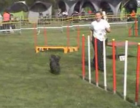 Sélectif G.P.F. 2009 - Agility