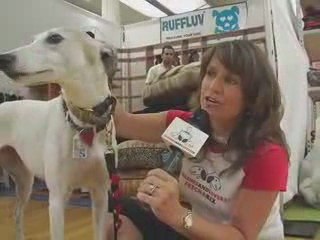 Come Fetch a Friend with dog lovers