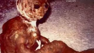 1993 Italy Italie Italia Real Alien Creature Ufo Ovni