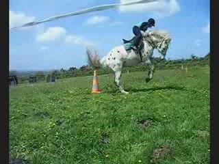08-05-09 : en licol, galop, chute de hondo