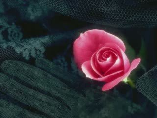 Jeśli tylko chcesz_0002