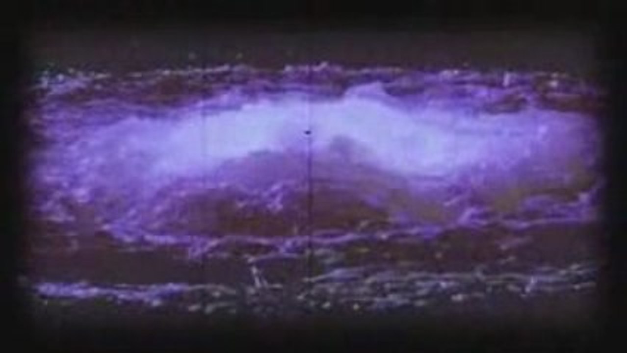 Vespiform Monster Files