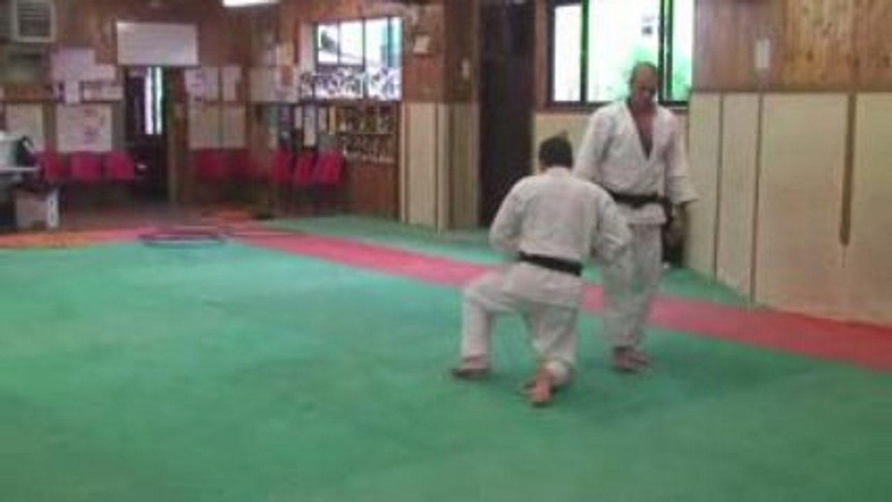 Goshin jitsu 2
