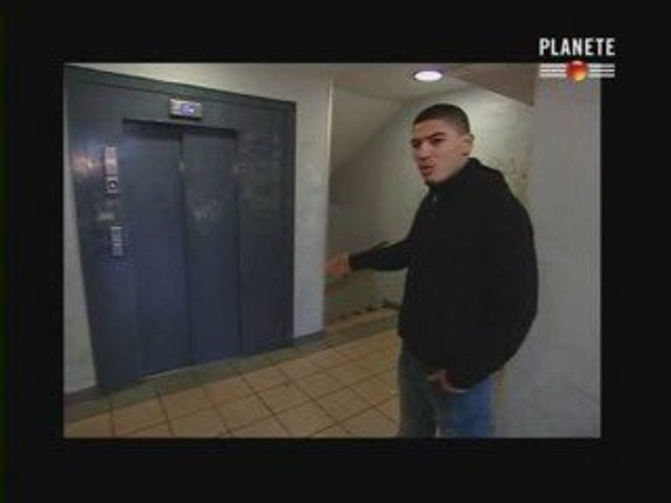 chiens : 60 millions d ennemis 1.2