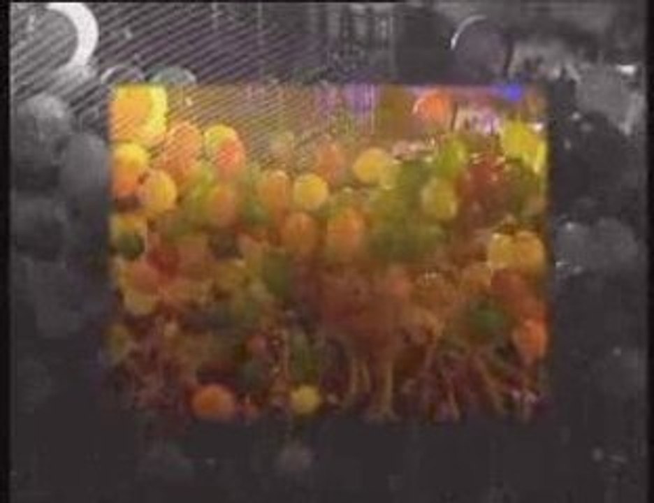 Pont Aeri 11° Aniversari Makina Hardcore