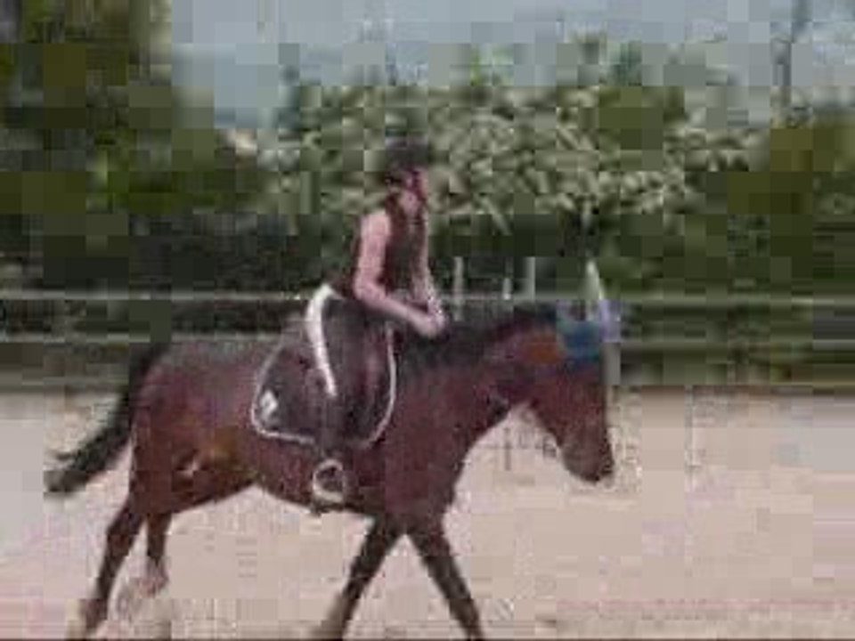 Petite séance de Saut avec Perle le 8 mai 2009