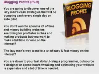 Blogging Profits