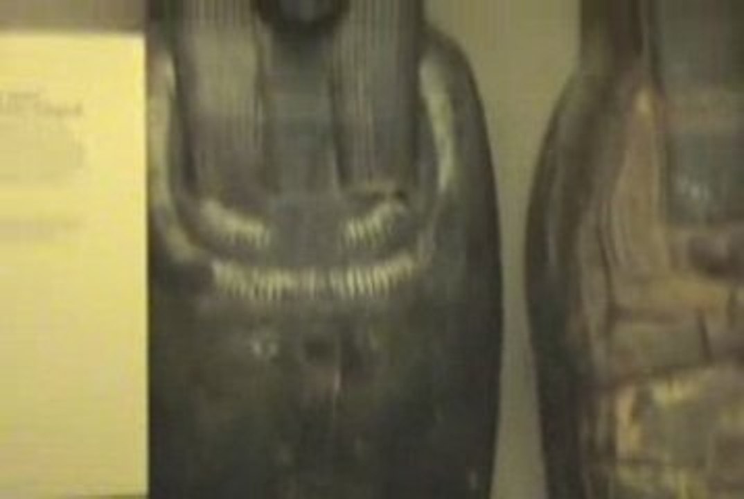 Drunk Night At The Museum