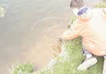 pêche en étang