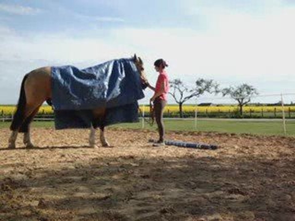 Etho 07-05-09