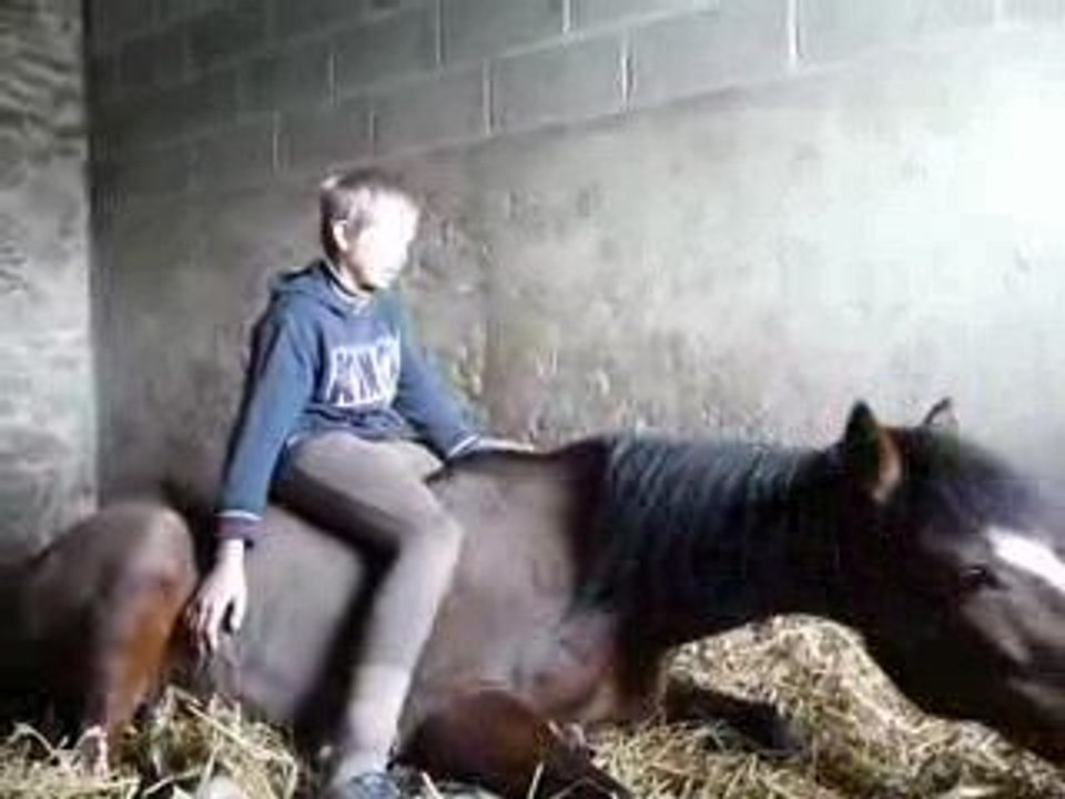 hugo et vicky