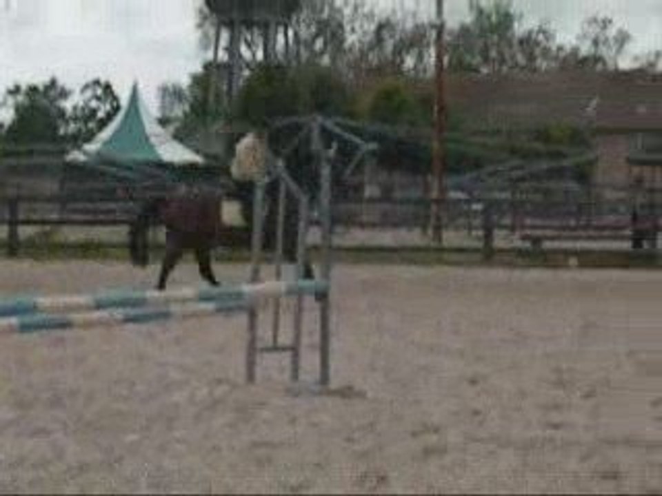 Dominique à l'obstacle (le 8 mai 2009)