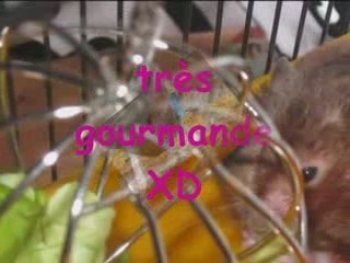 Lilo ^^