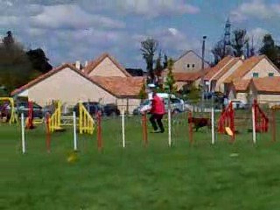 championnat regional agility 2009