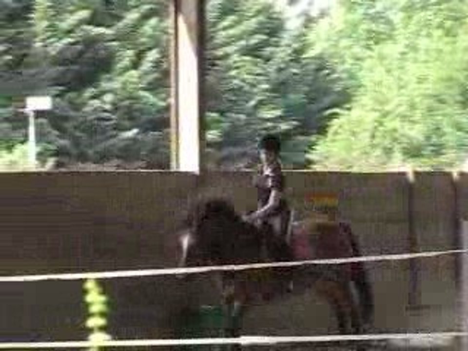 Mise en selle obstacle