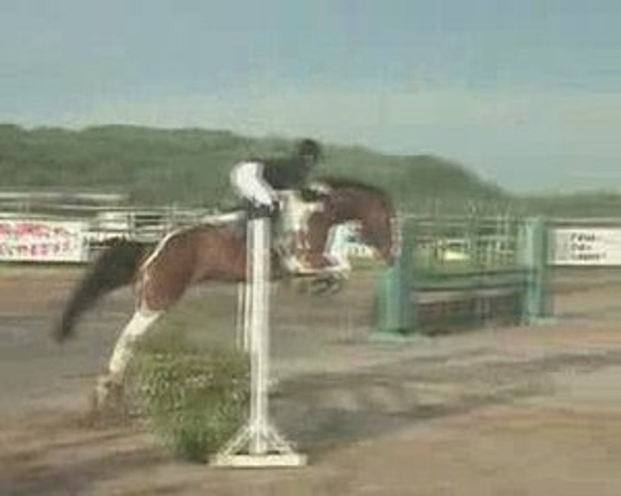 Waneelya CL 4 ans Albi