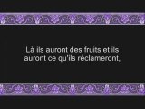 = Vidéos divers - Minhaj -ul- Quran   La voie du Coran2 (4)