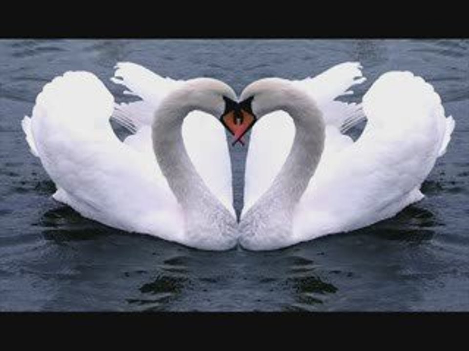 Valentiine