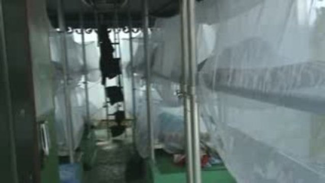 au petit matin sur le marais de kaw