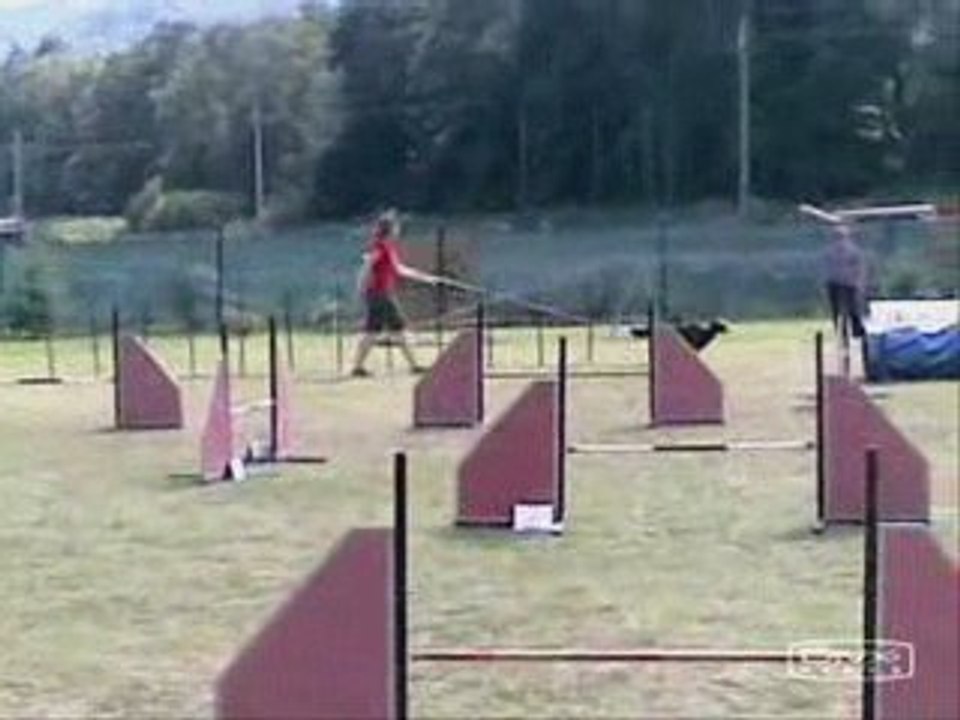 Unofficial race in agility - Blansko, 27. 7. 2008