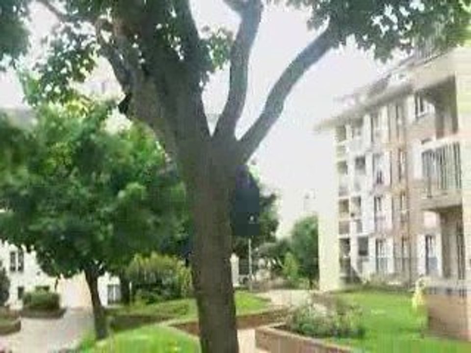 Parkour