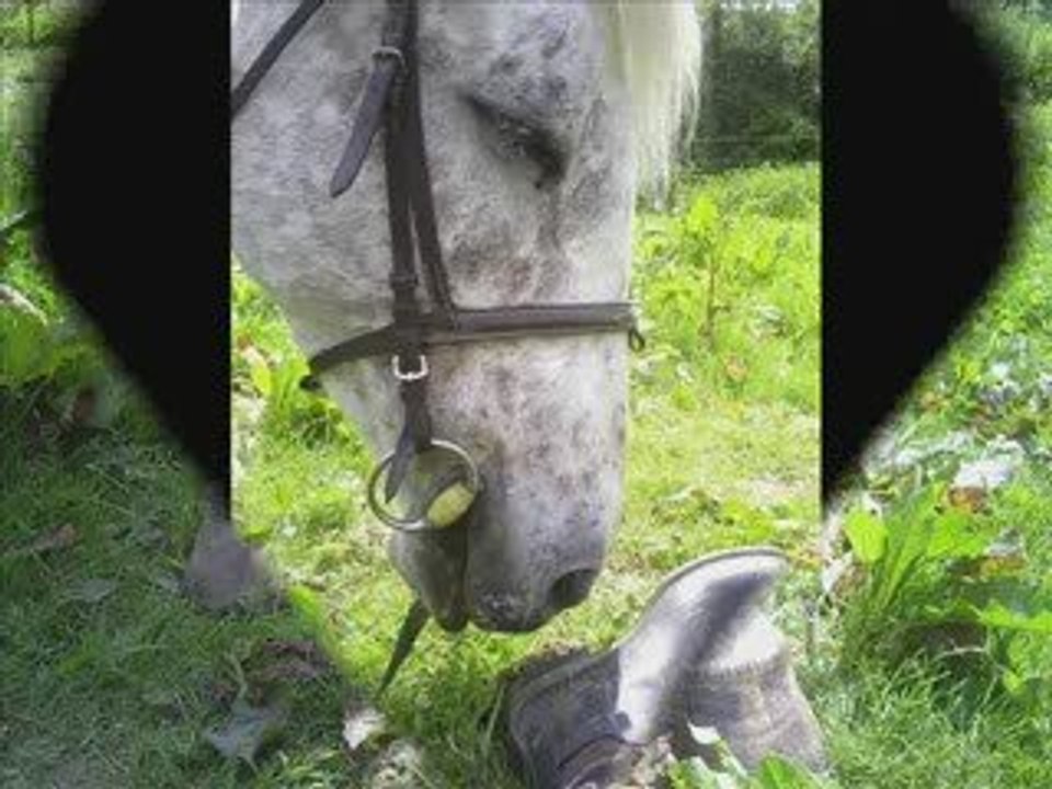 Montage des deux jours en longe <3