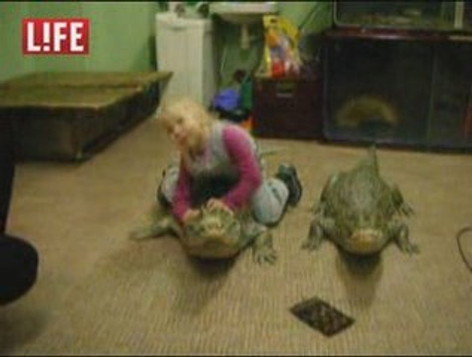 enfant alligator