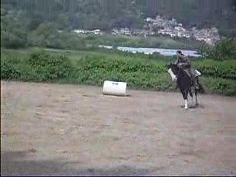 Photo 084