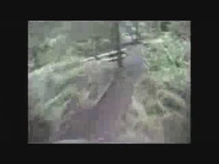 Les pros du vtt
