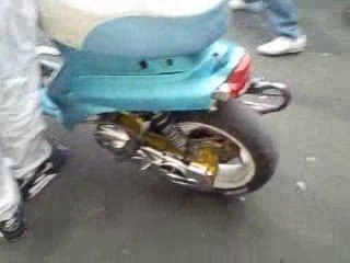 mon spitro en 80 top rose