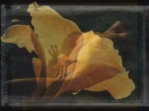 Carlos Santana - Moonflower