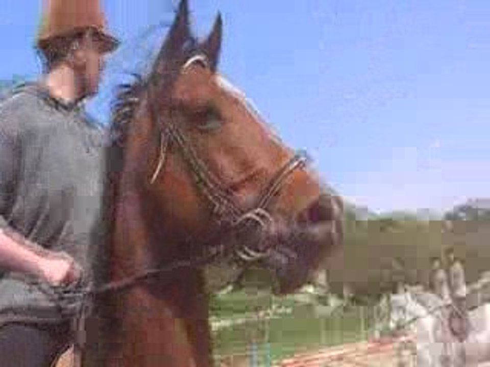 Poujeau et moi