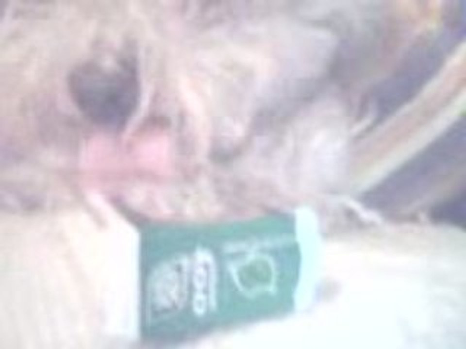 Rend moi mes tic tac !!!