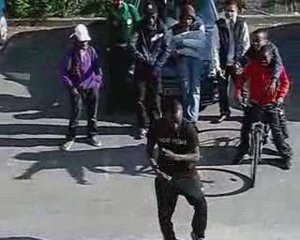 DEMO LOGOBii MAESTRO243 ARCH-VèGAS-ZOO