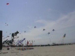 Cerf volant Berck 2009