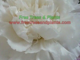 How to get back to nature