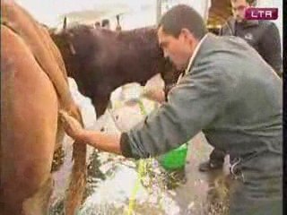 Coulisse du sommet de l'elevage