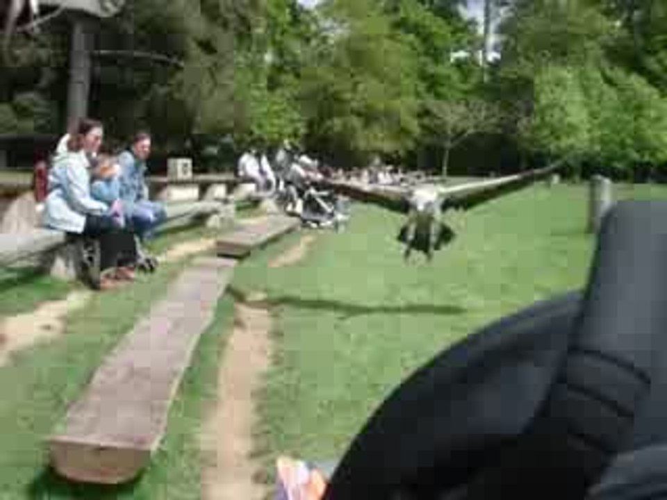 MOV06327