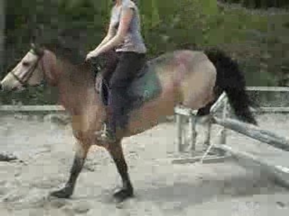 moi et Fanfan