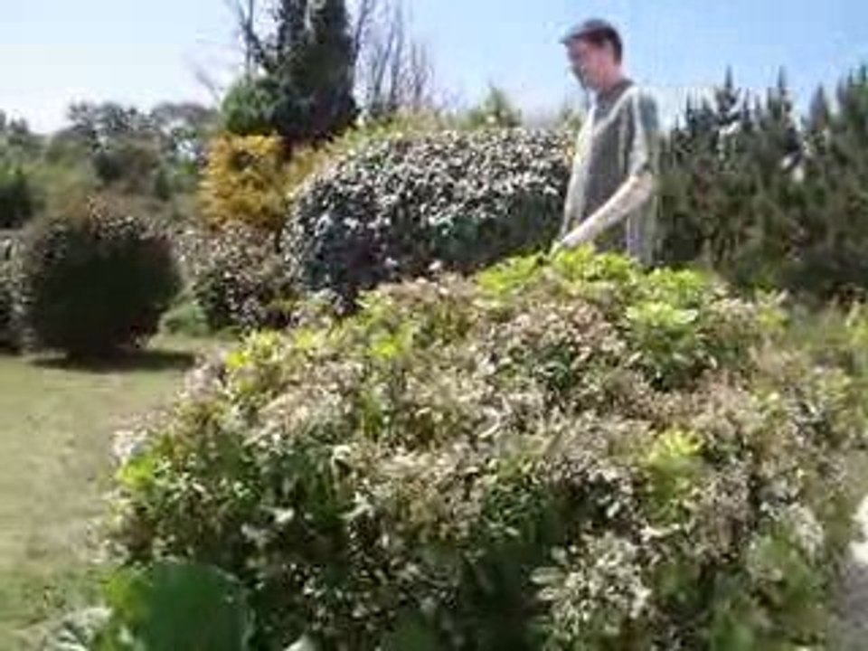 MOV06417