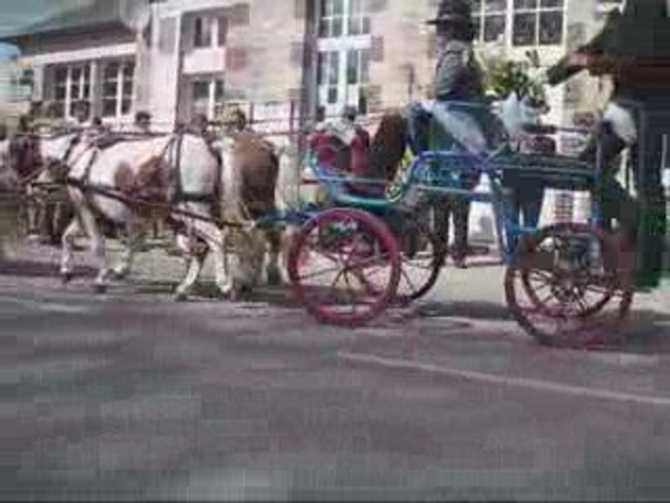 Mariage a Vienne la Ville