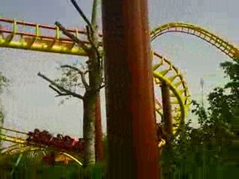 Goudurix looping