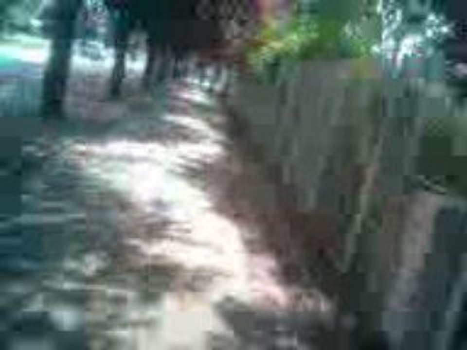 Vidéo005