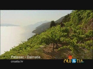Croatia Tourism wine