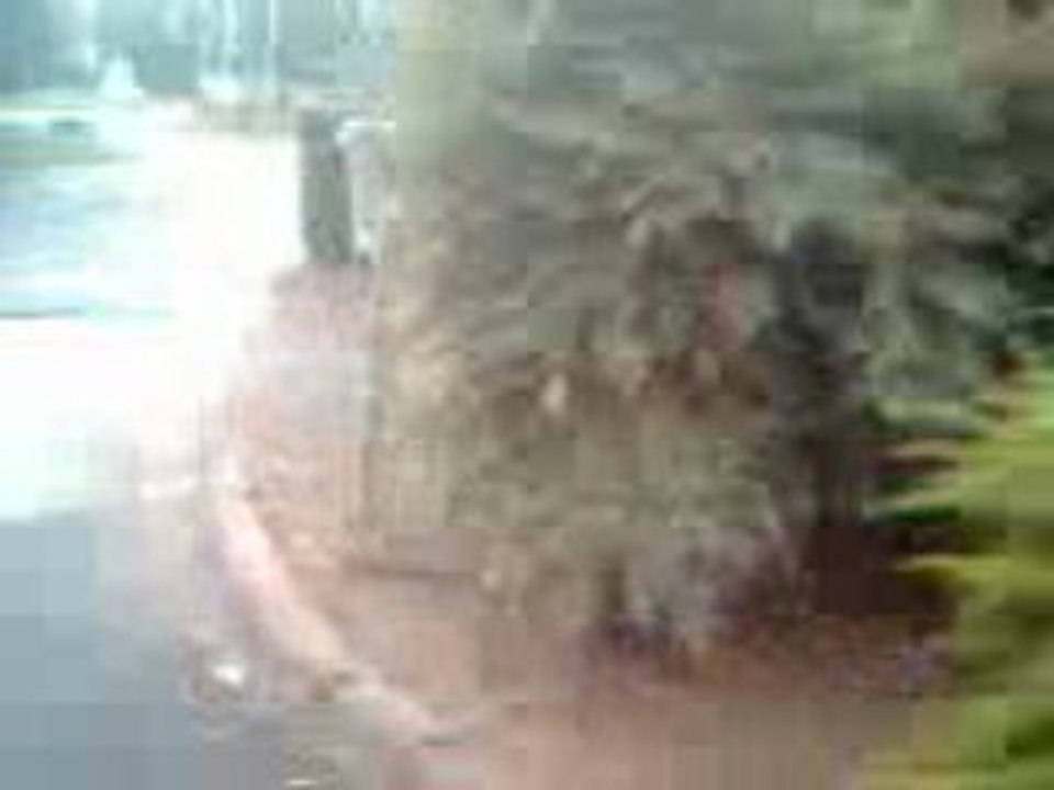 Vidéo011