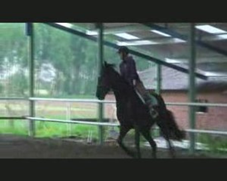 Pharaon Fanfaronnade